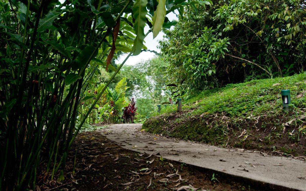 Huasquila Amazon Lodge Cotundo Eksteriør bilde