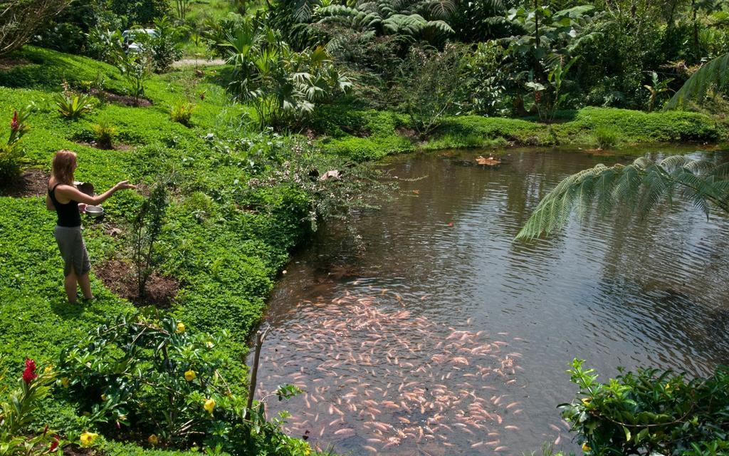 Huasquila Amazon Lodge Cotundo Eksteriør bilde