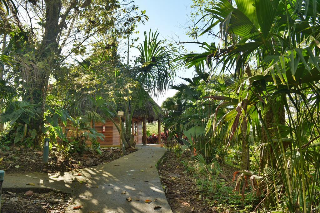 Huasquila Amazon Lodge Cotundo Eksteriør bilde