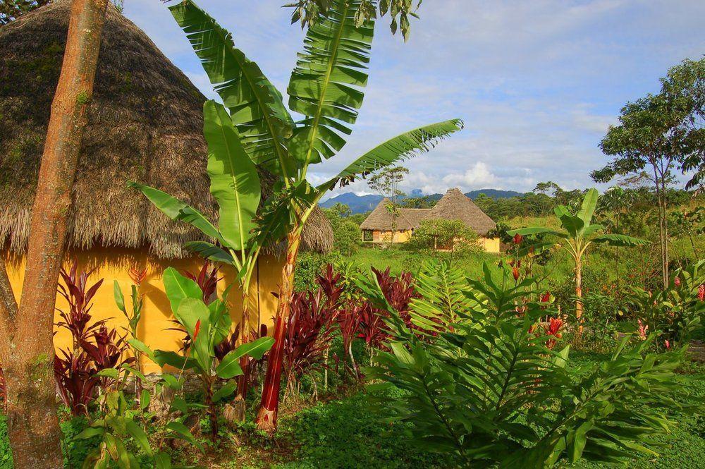 Huasquila Amazon Lodge Cotundo Eksteriør bilde