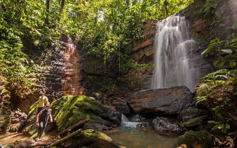 Huasquila Amazon Lodge Cotundo Eksteriør bilde