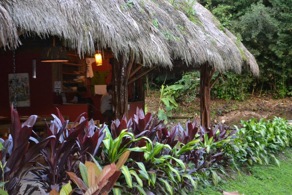 Huasquila Amazon Lodge Cotundo Eksteriør bilde