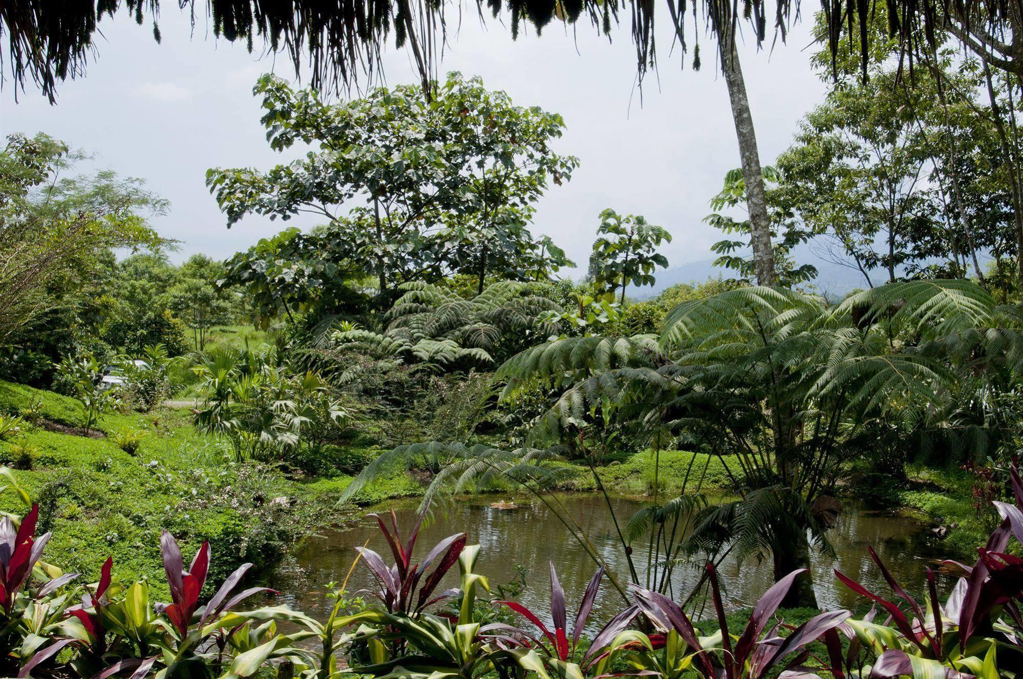 Huasquila Amazon Lodge Cotundo Eksteriør bilde