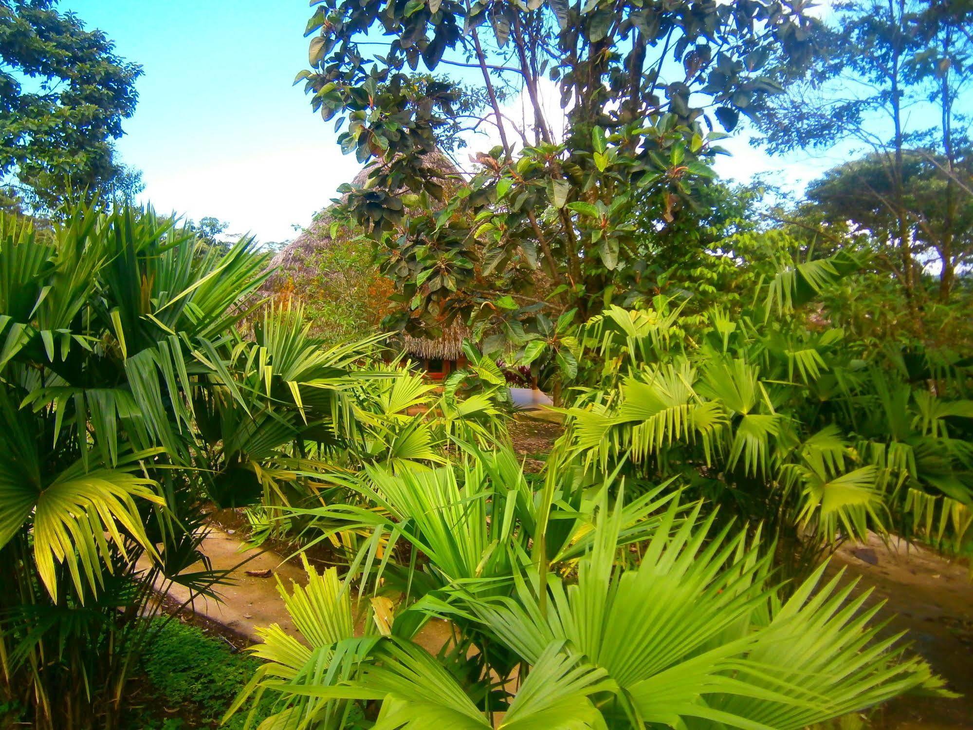 Huasquila Amazon Lodge Cotundo Eksteriør bilde