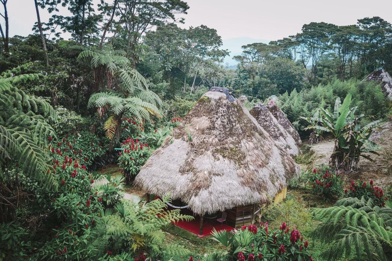 Huasquila Amazon Lodge Cotundo Eksteriør bilde